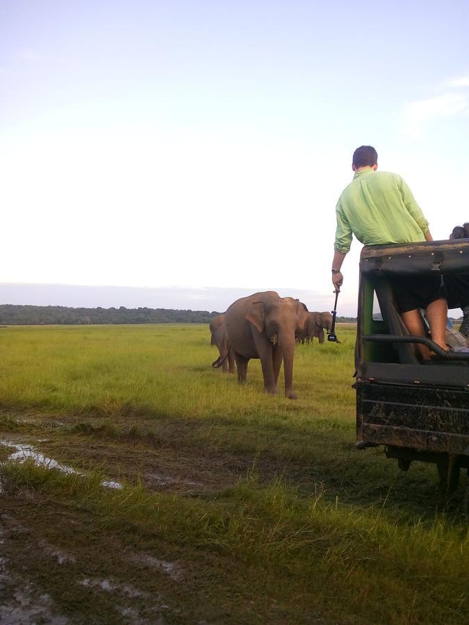 Sigiriya Nature Villa Lodge Екстериор снимка
