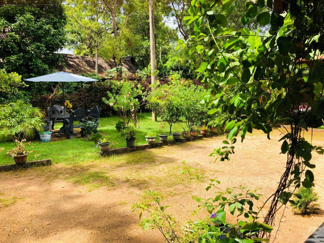 Sigiriya Nature Villa Lodge Екстериор снимка